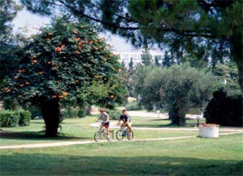 Gerakina Beach Otel Halkidiki Dış mekan fotoğraf